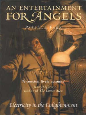 cover image of An Entertainment for Angels